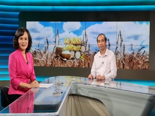 PGS.TS Đào Thế Anh chia sẻ về "An ninh lương thực toàn cầu" với VTV1